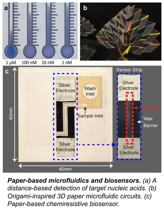 Paper-based microfluidic devices for low-cost medical and agricultural diagnostics