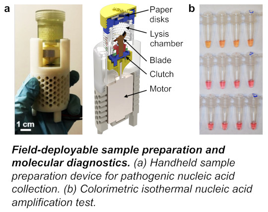 Portable nucleic acid extraction for food crops